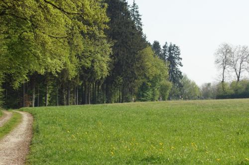DSC01099