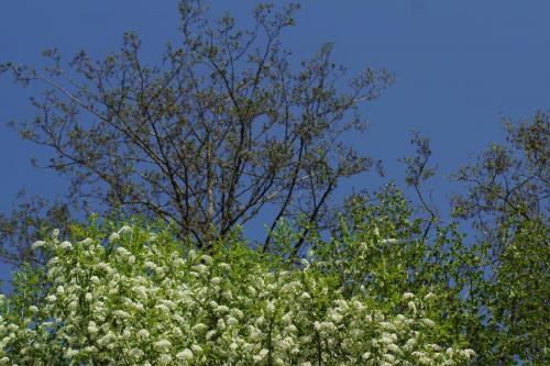 DSC01357